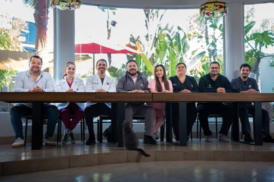 Slider image (3) New Path Ibogaine